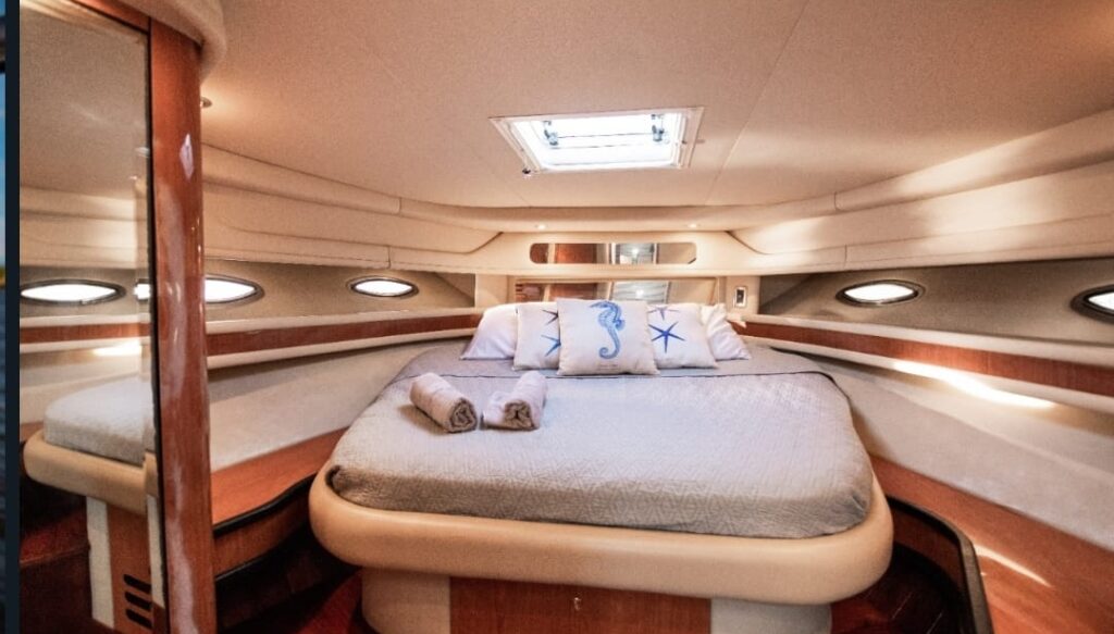 Primary Bedroom with king size bed