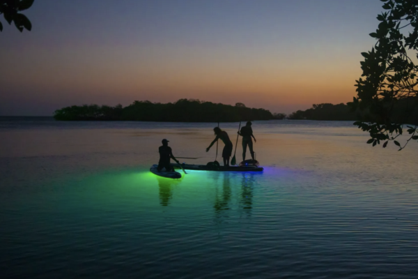 three people paddleboarding at dusk